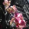 janewheeler328